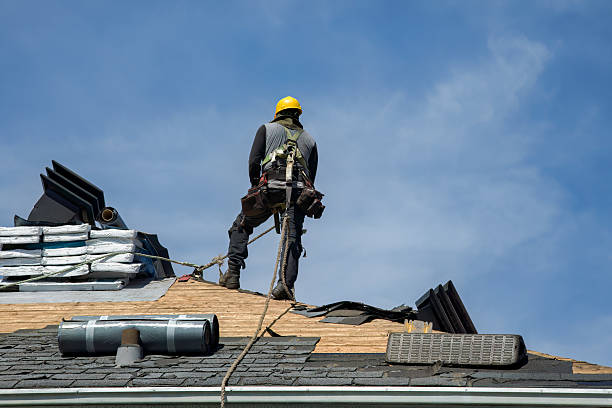 Professional Storm Damage Roof Repair technician working in Ozona, TX